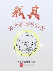 我真的不是npc天命