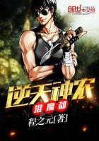 逆天神龙系统叫什么