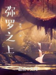 弥罗宫主人实力