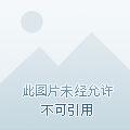 半面红妆