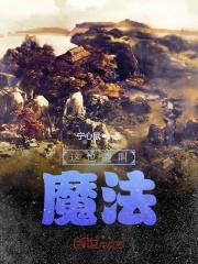 魔法是什么意思?