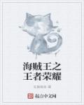 王者荣耀之海贼火影