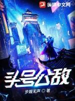 头号公敌 ftp