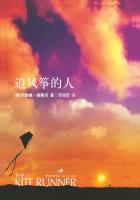 追风筝的人属于什么类型的书籍