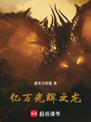 亿万光辉之龙TXT
