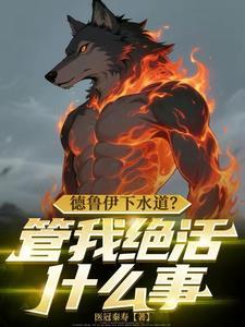 德鲁伊游戏攻略