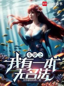斗罗之我有一本无名法笔趣阁