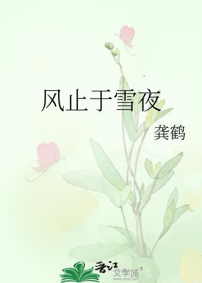风止于雪夜by龚鹤全文免费阅读