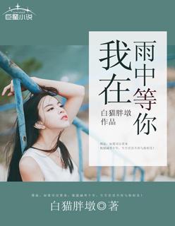 我在雨中等你恩佐