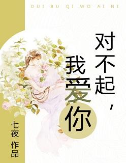 对不起我爱你翻唱