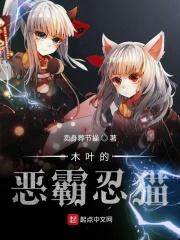 木叶恶霸忍猫