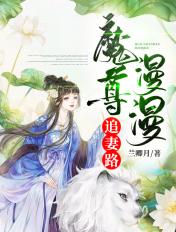 魔尊追妻忙短篇